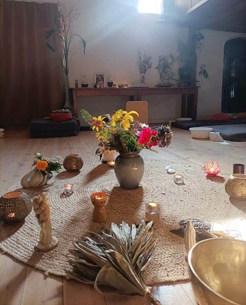 truffel_ayahuasca_procewerk_revermann