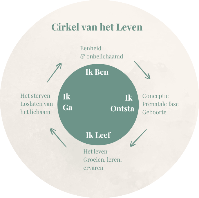 ayahuasca nederland cirkel van het leven