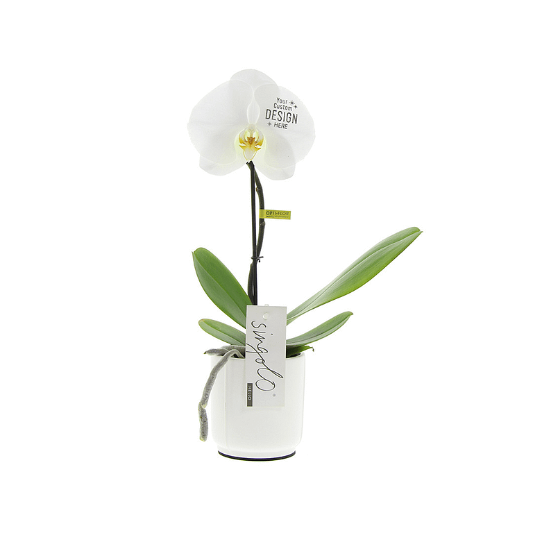 Gadget with logo Orchid Gadget with logo single-flowered luxurious orchid. Give a truly valuable gift with this unique orchidÂ that will certainly not end up in the bin. This exceptional flower can be perfectly personalized with your logo or design on the flower. Comes with personalized FSC-certified gift box with a back card or leave a message by attaching a separate card. Depending on the surface we can use embroidery, engraving, 360Â° imprint or screen print.