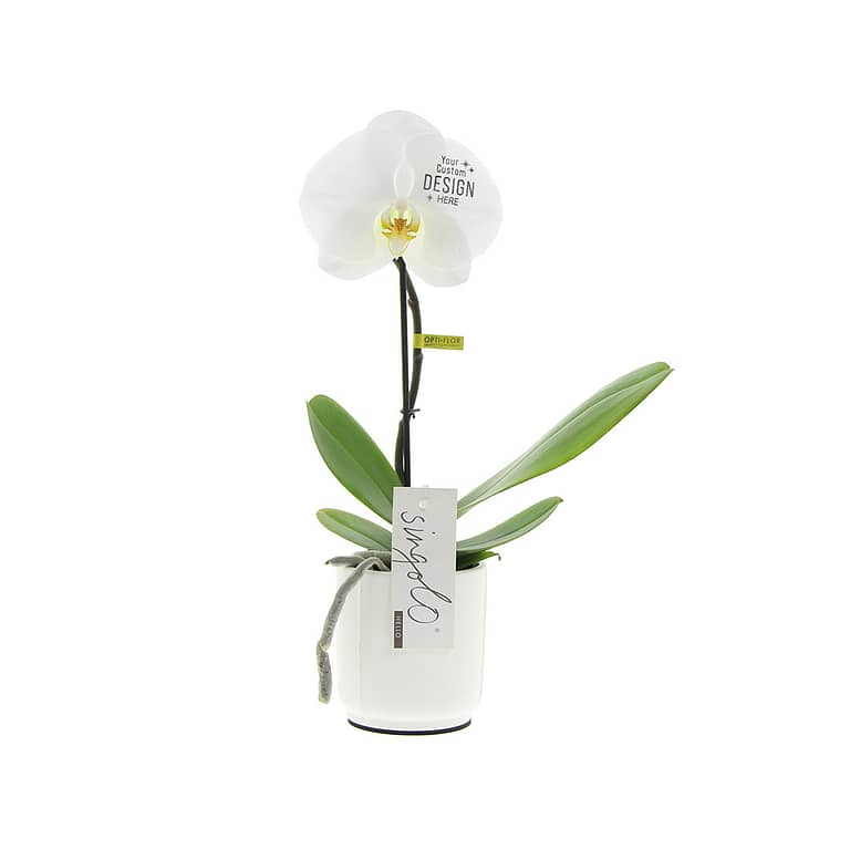 Gadget with logo Orchid