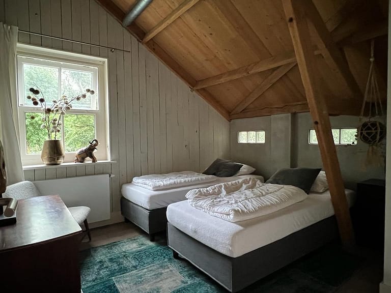 psilocybine ceremonie brabant