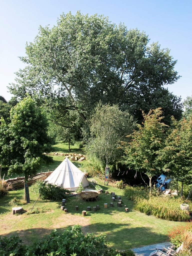 psilocybine sessie revermann shares