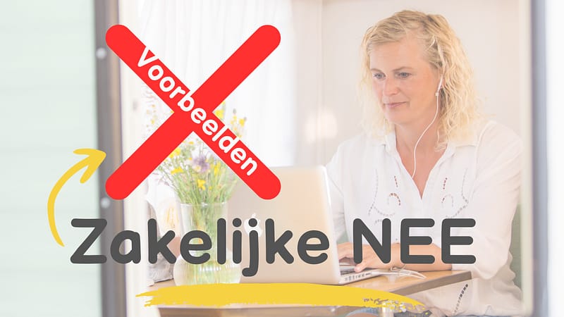 Zo zeg je NEE tegen klanten: En behoud je overzicht en regie!