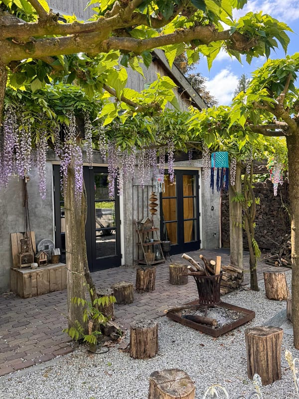 PHOTO-2025-06-16-08-42-39 4