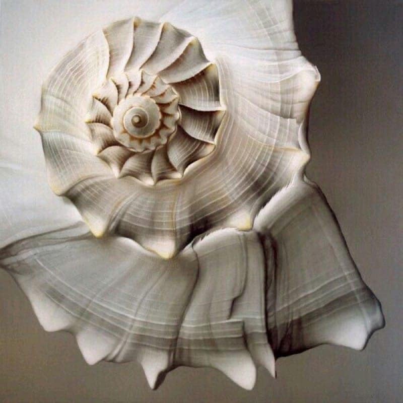 leela regressie en lichaamsgerichte therapie