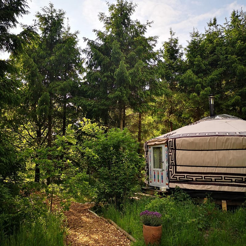 ayahuasca verhalen nederland, lessen in overgave