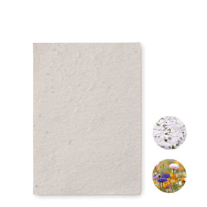 A6 wildflower seed paper sheet
